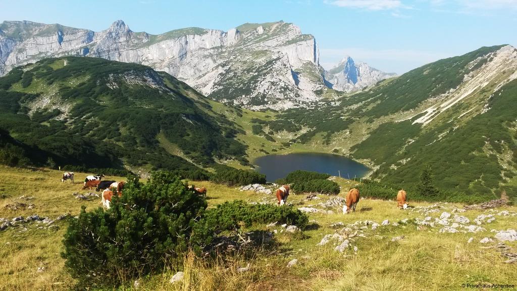 Privathaus Achensee Ахенкирьх Экстерьер фото